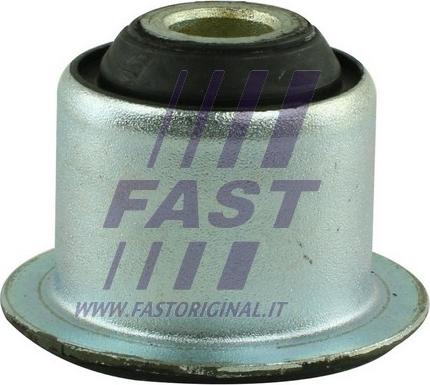 Fast FT18013 - Nəzarət Kolu / Arxa Qol furqanavto.az