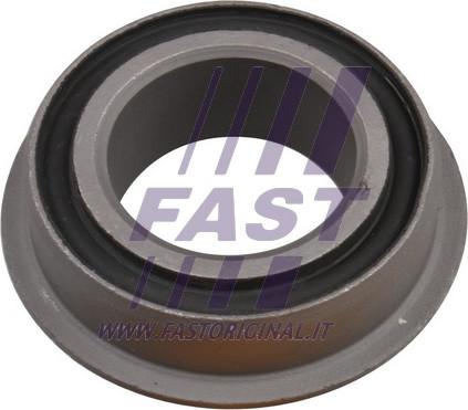 Fast FT18310 - Nəzarət Kolu / Arxa Qol furqanavto.az