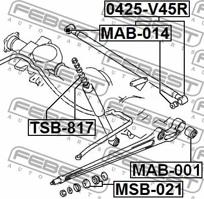 Febest MSB-021 - Nəzarət Kolu / Arxa Qol www.furqanavto.az