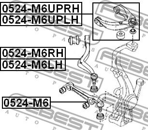 Febest 0524-M6LH - Yolun idarəedici qolu furqanavto.az