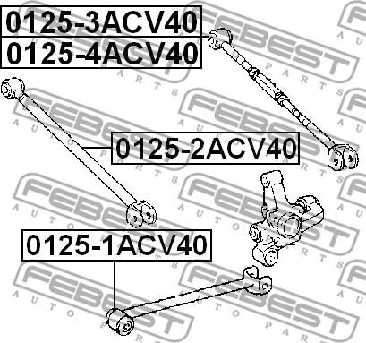 Febest 0125-2ACV40 - Yolun idarəedici qolu furqanavto.az