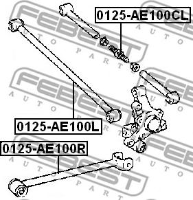 Febest 0125-AE100L - Yolun idarəedici qolu furqanavto.az