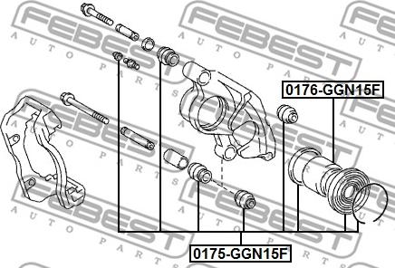 Febest 0176-GGN15F - Piston, əyləc kaliperi furqanavto.az