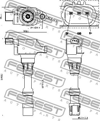 Febest 03640-003 - Alovlanma bobini furqanavto.az