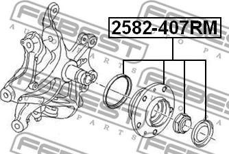 Febest 2582-407RM - Təkər Qovşağı furqanavto.az