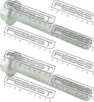 Febest 2098-001-PCS2 - Bağlama boltlar, idarəetmə qolu furqanavto.az