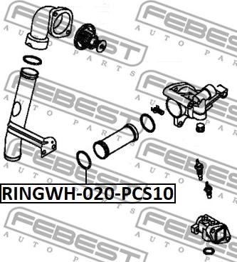 Febest RINGWH-020-PCS10 - Conta, soyuducu flanş furqanavto.az