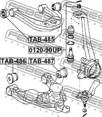 Febest TAB-485 - Nəzarət Kolu / Arxa Qol furqanavto.az