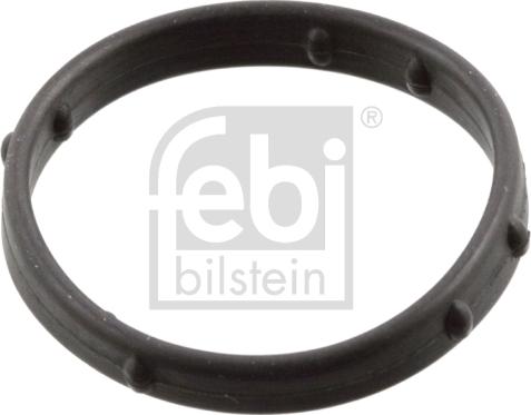 Febi Bilstein 101006 - Conta, silindr baş örtüyü furqanavto.az