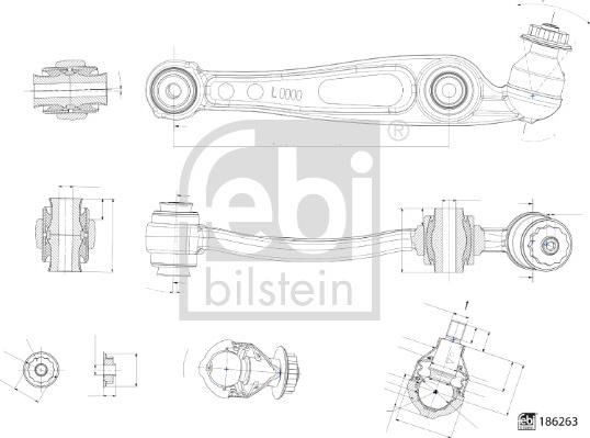 Febi Bilstein 186263 - Yolun idarəedici qolu furqanavto.az