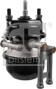 Febi Bilstein 174003 - Yaylı silindr furqanavto.az