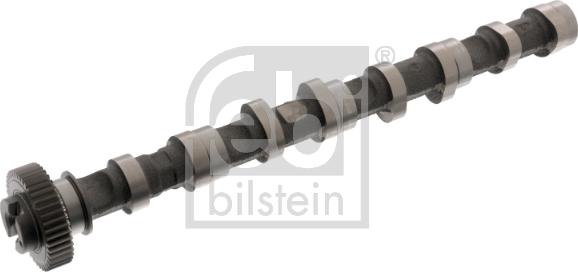 Febi Bilstein 176931 - Eksantrik mili furqanavto.az