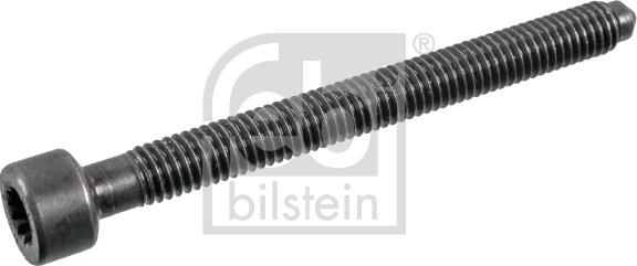 Febi Bilstein 176311 - Vida, enjeksiyon ucun tutacağı furqanavto.az