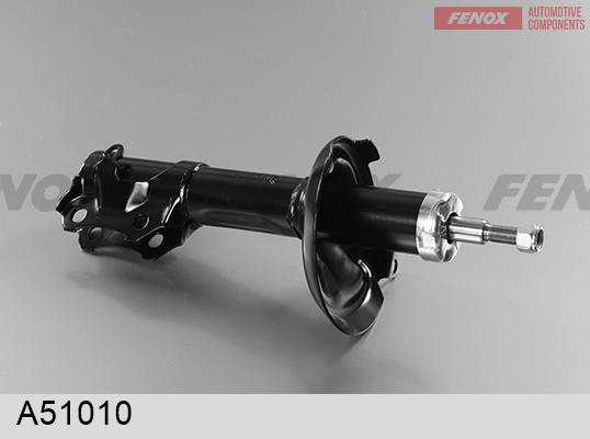 Fenox A51010 - Amortizator furqanavto.az