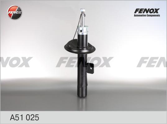 Fenox A51025 - Amortizator furqanavto.az