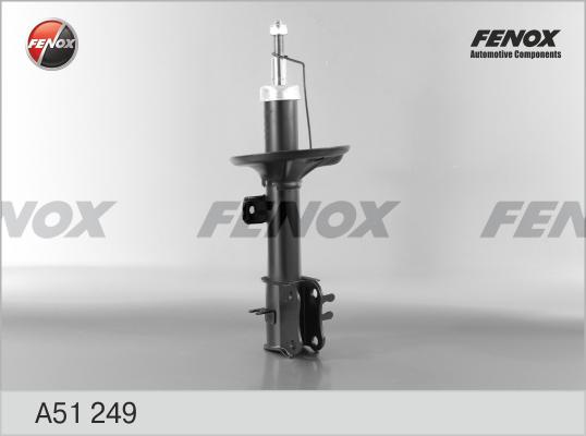 Fenox A51249 - Amortizator www.furqanavto.az