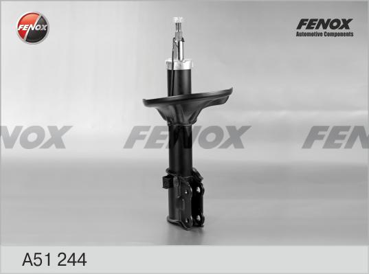 Fenox A51244 - Amortizator furqanavto.az