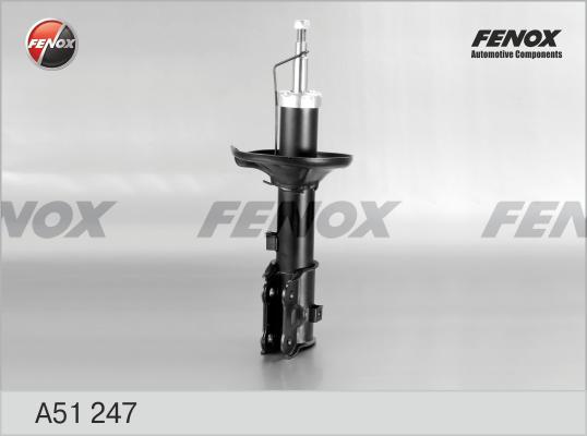 Fenox A51247 - Amortizator furqanavto.az