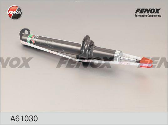 Fenox A61030 - Amortizator furqanavto.az