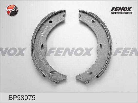 Fenox BP53075 - Əyləc Başlığı Dəsti furqanavto.az