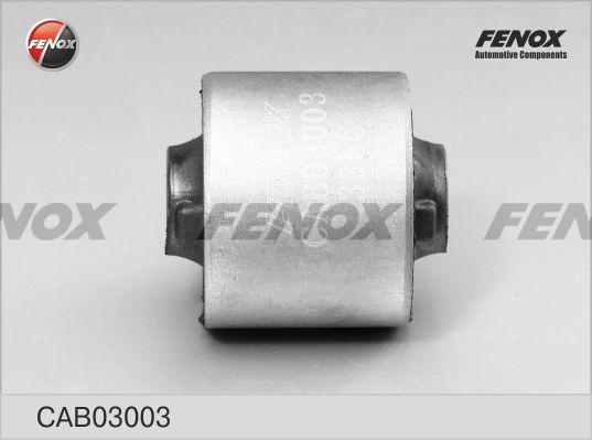 Fenox CAB03003 - Nəzarət Kolu / Arxa Qol furqanavto.az