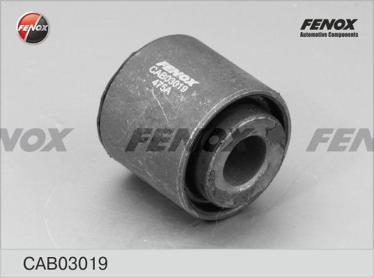 Fenox CAB03019 - Nəzarət Kolu / Arxa Qol furqanavto.az