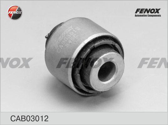 Fenox CAB03012 - Nəzarət Kolu / Arxa Qol furqanavto.az