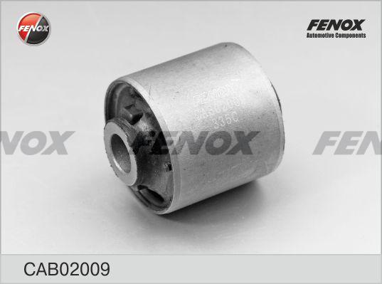 Fenox CAB02009 - Nəzarət Kolu / Arxa Qol furqanavto.az