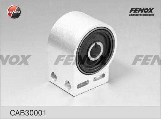Fenox CAB30001 - Nəzarət Kolu / Arxa Qol furqanavto.az