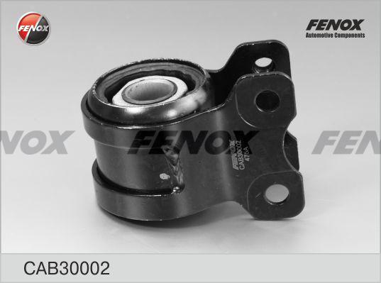 Fenox CAB30002 - Nəzarət Kolu / Arxa Qol furqanavto.az