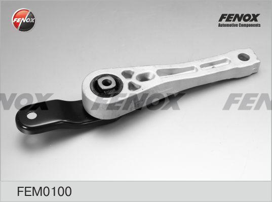 Fenox FEM0100 - Tutacaq, mühərrik montajı www.furqanavto.az