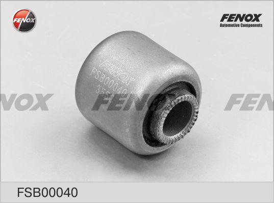 Fenox FSB00040 - Nəzarət Kolu / Arxa Qol furqanavto.az