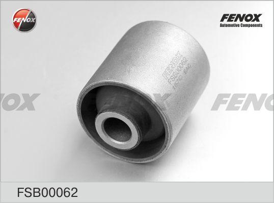 Fenox FSB00062 - Nəzarət Kolu / Arxa Qol furqanavto.az