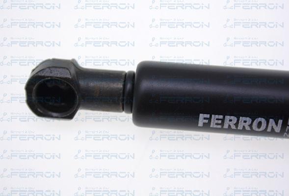 FERRON 119 - Qazlı bulaq, baqaj, yük yeri furqanavto.az