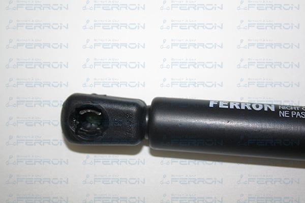 FERRON 1115 - Qazlı bulaq, baqaj, yük yeri furqanavto.az