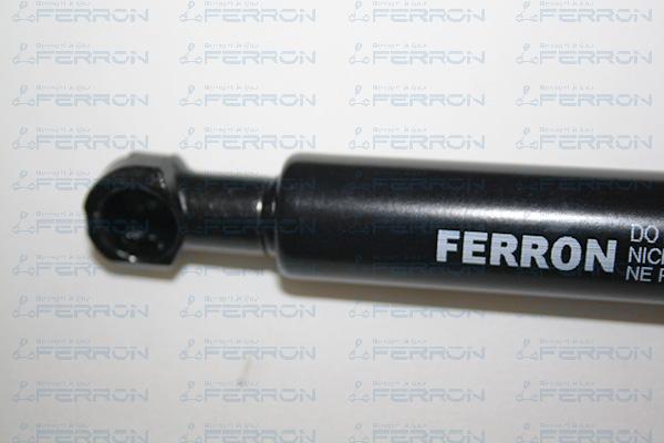 FERRON 1383 - Qazlı bulaq, baqaj, yük yeri furqanavto.az