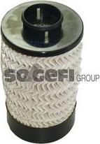 FRAM C10635ECO - Yanacaq filtri furqanavto.az