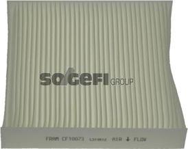 FRAM CF10073 - Filtr, daxili hava furqanavto.az