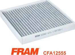 FRAM CFA12555 - Filtr, daxili hava furqanavto.az
