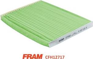 FRAM CFH12685 - Filtr, daxili hava furqanavto.az