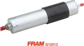 FRAM G12513 - Yanacaq filtri furqanavto.az