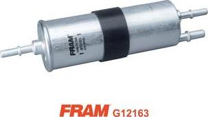 FRAM G12163 - Yanacaq filtri furqanavto.az