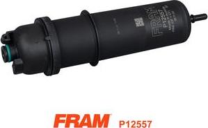 FRAM P12557 - Yanacaq filtri furqanavto.az