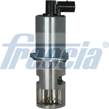 Freccia EGR12-132 - EGR Valf furqanavto.az