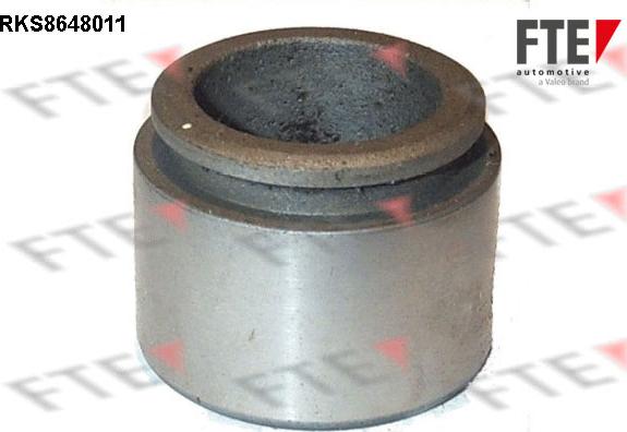 FTE RKS8648011 - Piston, əyləc kaliperi furqanavto.az