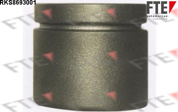 FTE RKS8693001 - Piston, əyləc kaliperi furqanavto.az