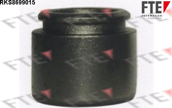 FTE 9313483 - Piston, əyləc kaliperi furqanavto.az