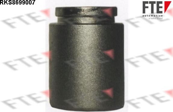 FTE 9313477 - Piston, əyləc kaliperi furqanavto.az