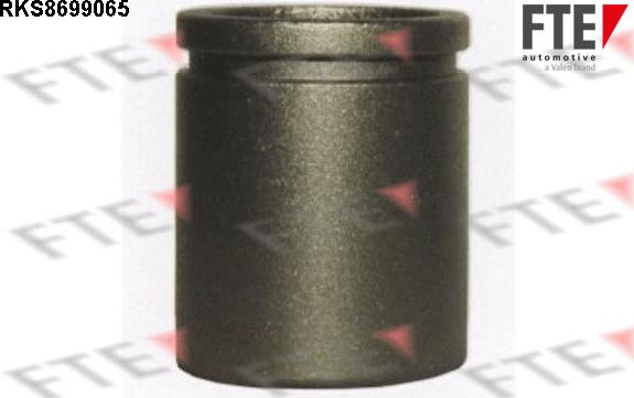 FTE 9313516 - Piston, əyləc kaliperi furqanavto.az