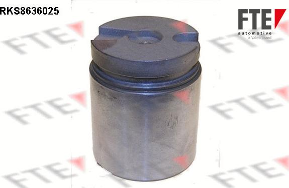 FTE RKS8636025 - Piston, əyləc kaliperi furqanavto.az